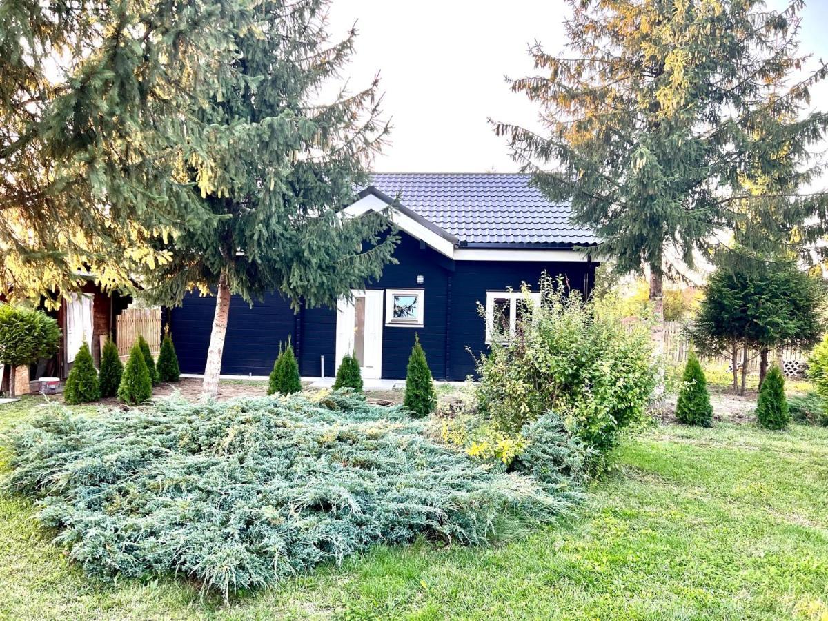 Vila Scandinavia Sîngeorgiu de Mureş Eksteriør billede